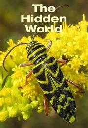 The Hidden World (1958)