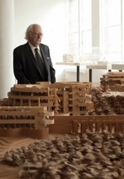 Model Meier's (2014)