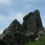 Mammoth Rubbing Rocks