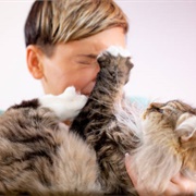 Get Beaten Up by Cat