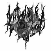 When Man Fails You (Yves Tumor, 2015)