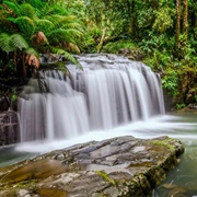 Barrington Tops, NSW