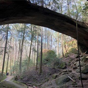 Alabama's Natural Bridge