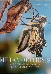 Metamorphosis (Rupert Soskin)