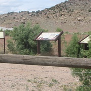 A Trail Through Time