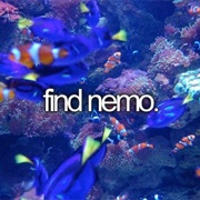 Find Nemo