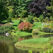 Asticou Azalea Garden