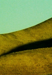 The Dragon Is the Frame (2014)