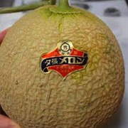 Yubari King Melon