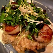 Pan-Seared Sea Scallops