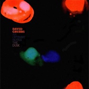 David Grubbs - An Optimist Notes the Dust
