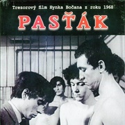Pasťák.   (1968)