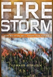 Firestorm (Edward Struzik)