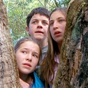 Don't Blame the Koalas