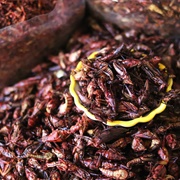 Chapulines