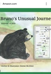Bruno's Unusual Journey (Denise McAleer)