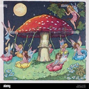 Fairies Lived in the Mushrooms