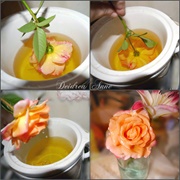 Preserve a Flower in Wax
