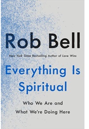 Everything Is Spiritual: Finding Your Way in a Turbulent World (Rob Bell)