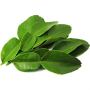 Lime Leaf