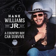 Old Habits - Hank Williams Jr.