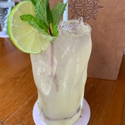 Snow Leopard Salvation