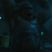 Charlie Gorilla