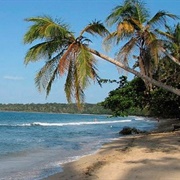 Goicoechea, Costa Rica