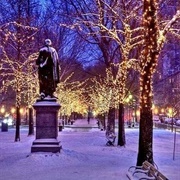 Central Park Holiday Lights