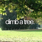 Climb a Tree