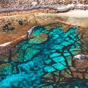 Rottnest Island