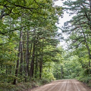 Roger Pryor Pioneer Backcountry, Missouri