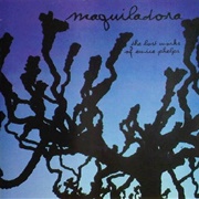 Maquiladora - The Lost Works of Eunice Phelps