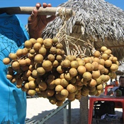 Pitomba (Talisia Esculenta)