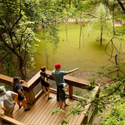 The Devil's Millhopper