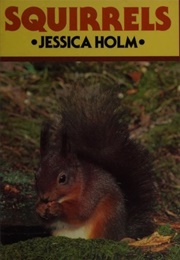Squirrels (Jessica Holm)