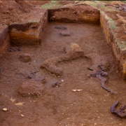 Monte Verde Archaeological Site, Chile
