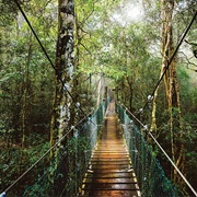 Lamington National Park, Queensland