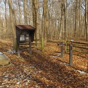 Morris Woods State Nature Preserve