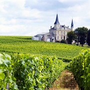 Bordeaux Wine Tour