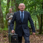 Martin Ellingham (Doc Martin)