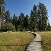 Ward Creek Park Property