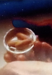 Sans Titre AKA Man Yuk: A Portrait of Maggie Cheung (1997)