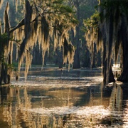 Louisiana Wetlands