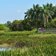 Green Cay Nature Center and Wetlands