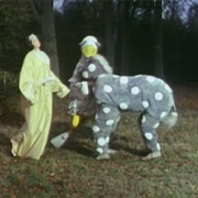 Worn a Two Person Pantomime Horse Costume