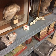 N. W. Harris Learning Collection