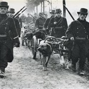 German Troops Invade Belgium 1914