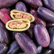 Safou (Dacryodes Edulis)