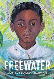 Freewater (Amina Luqman-Dawson)